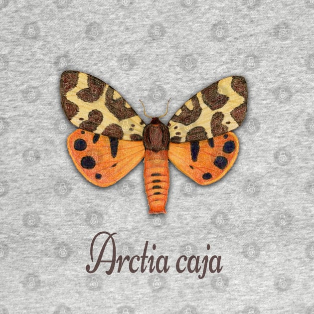 Garden tiger moth illustration by Bwiselizzy